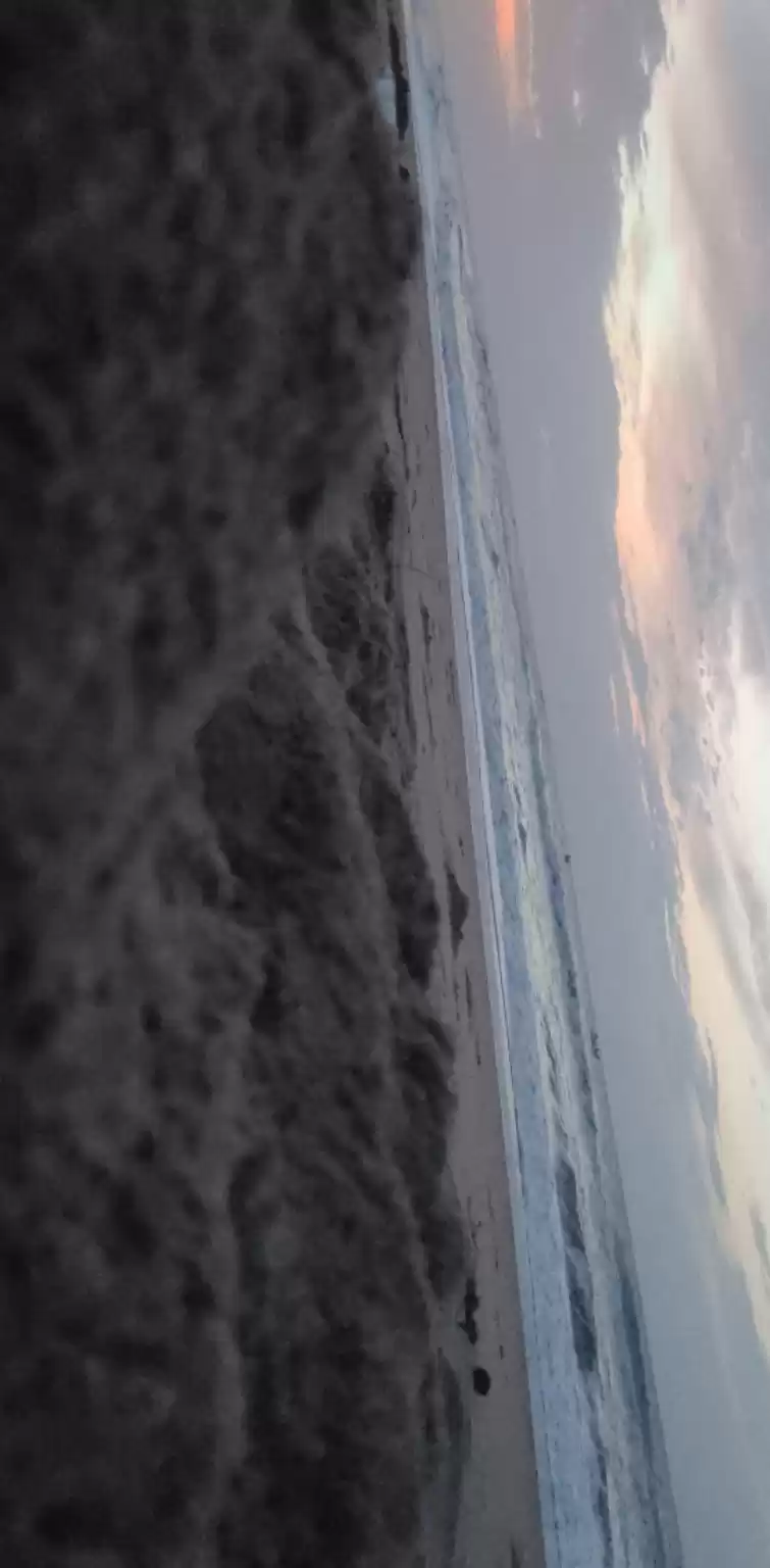 Photo of Beach lover 