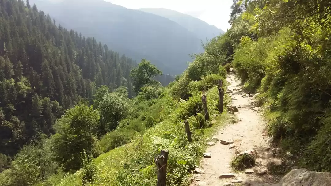 Photo of All you need to know