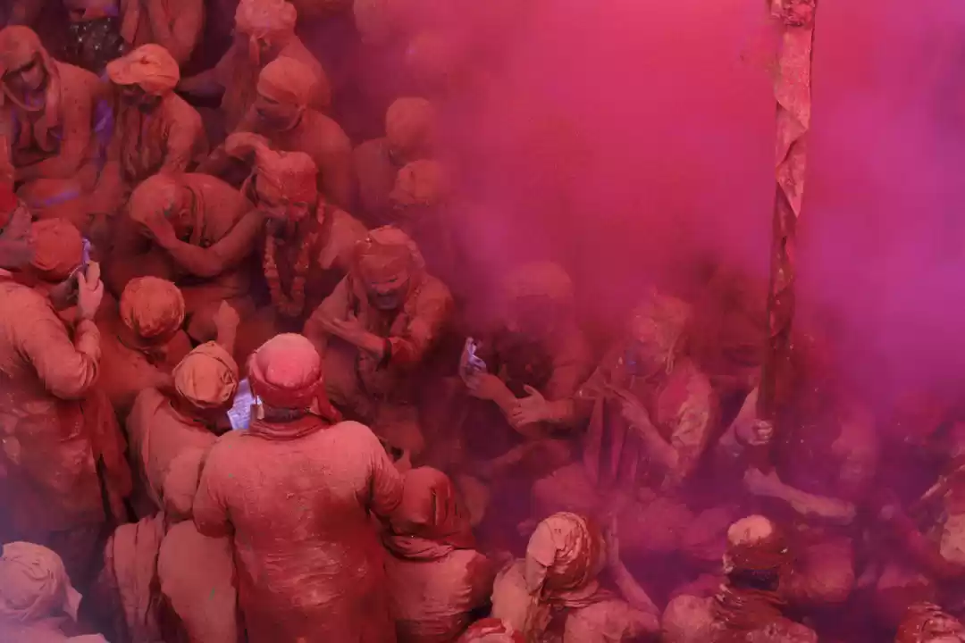 Photo of Lost in the Colour-M