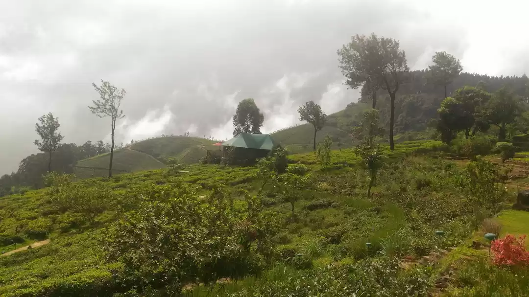 Photo of Kandy, the mystical 