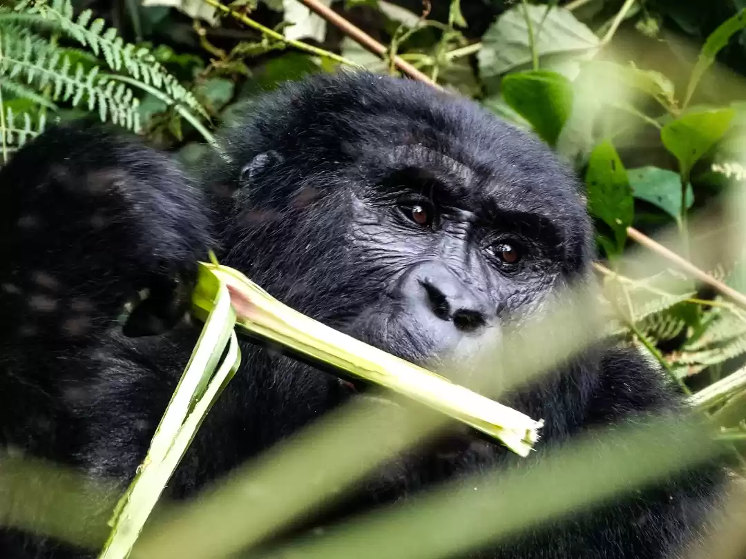 Photo of 20 pictures that wil