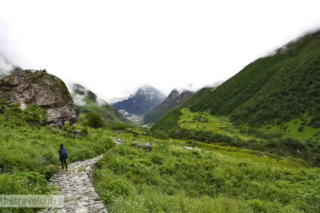 Photo of A super useful guide