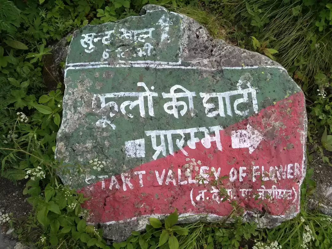 Photo of A trek to heaven in 