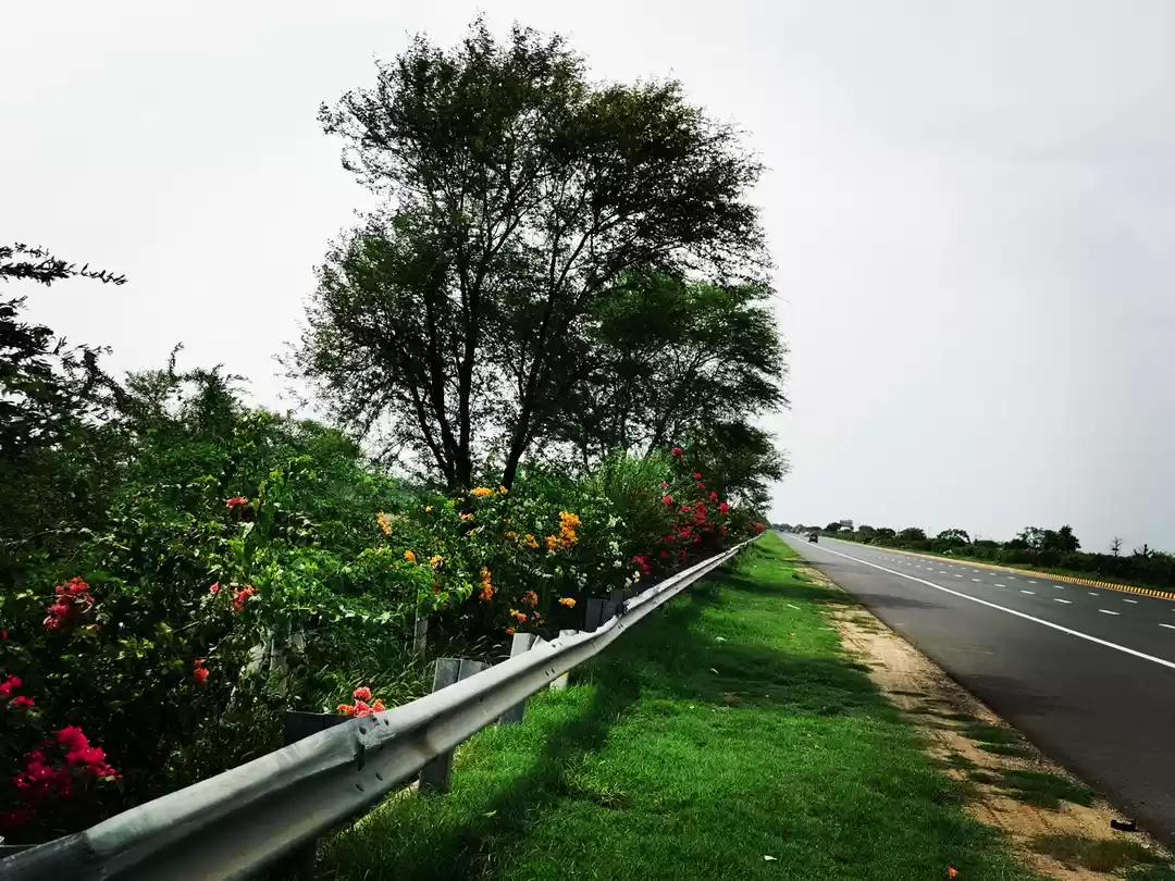 Photo of I went for a staycat