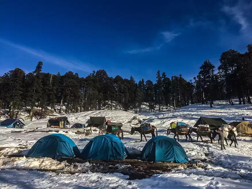 Photo of Kedarkantha Trek (6D