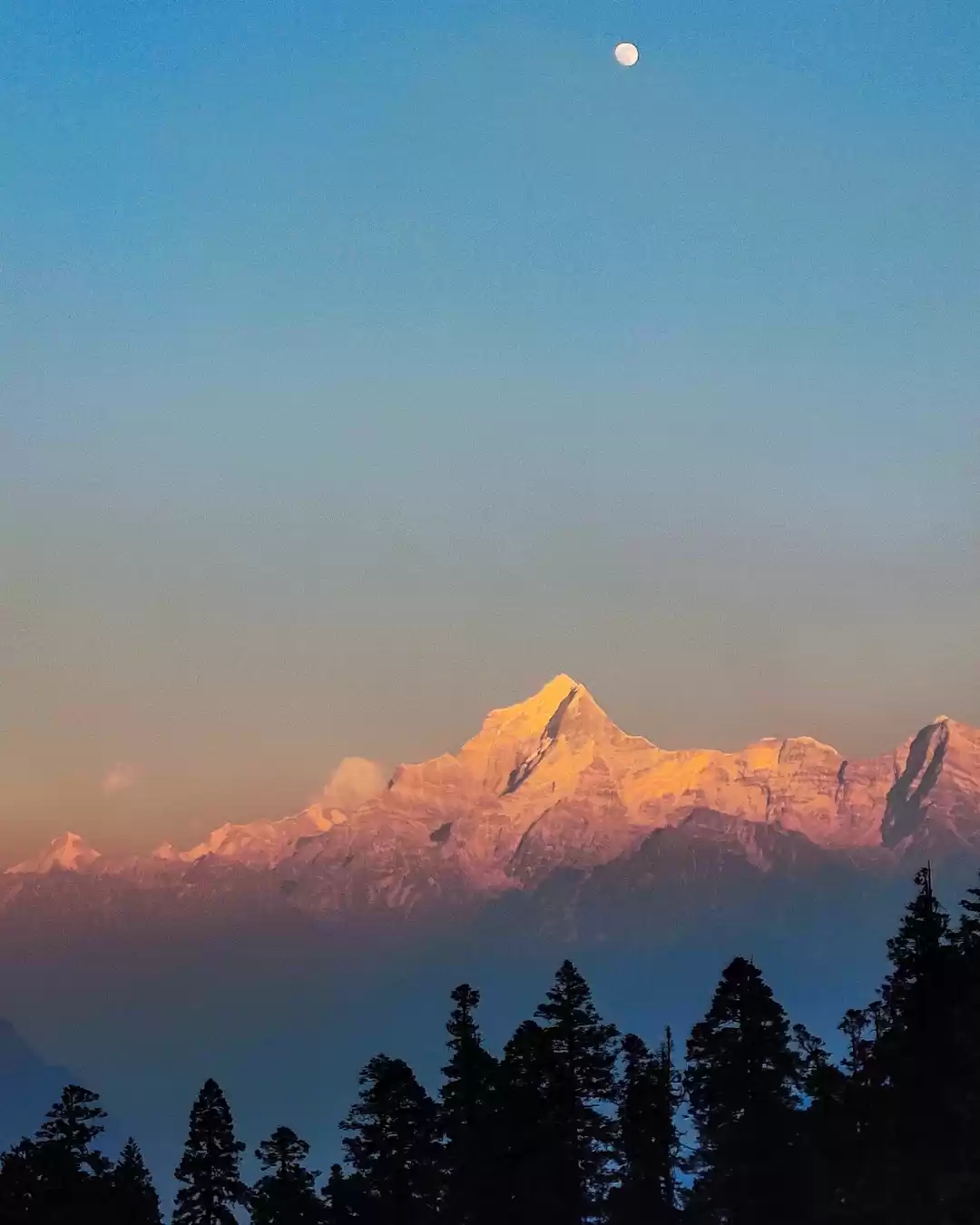 Photo of Golden hours over Mt