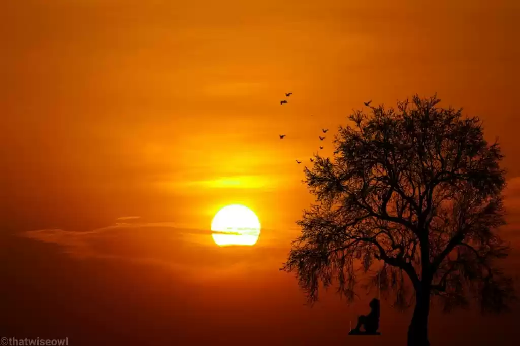 Photo of Golden sunsets