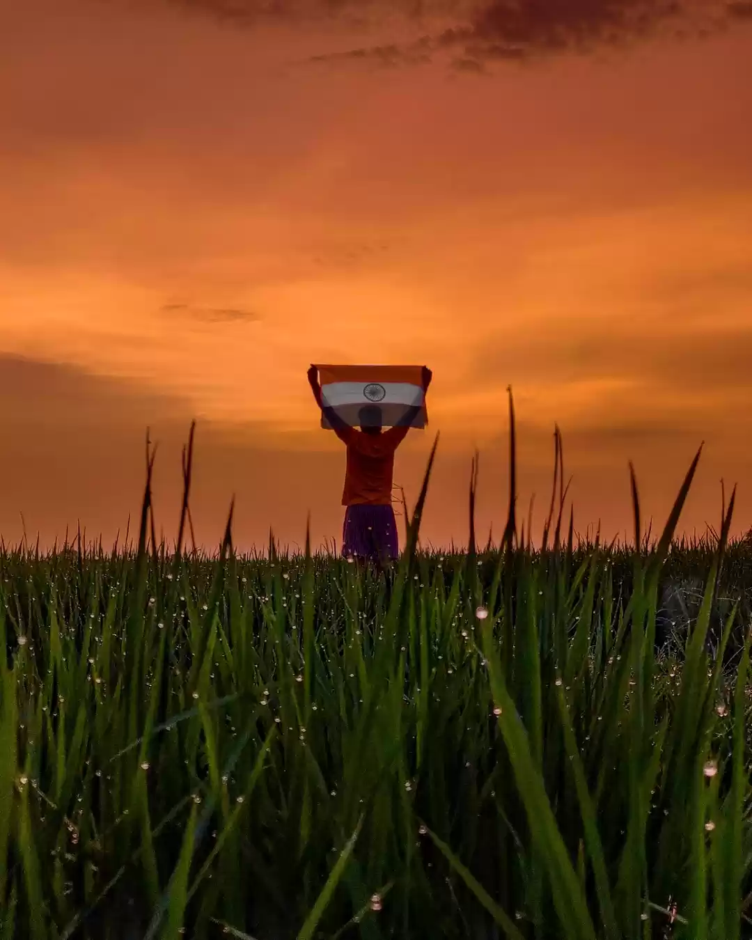 Photo of Celebrating independ