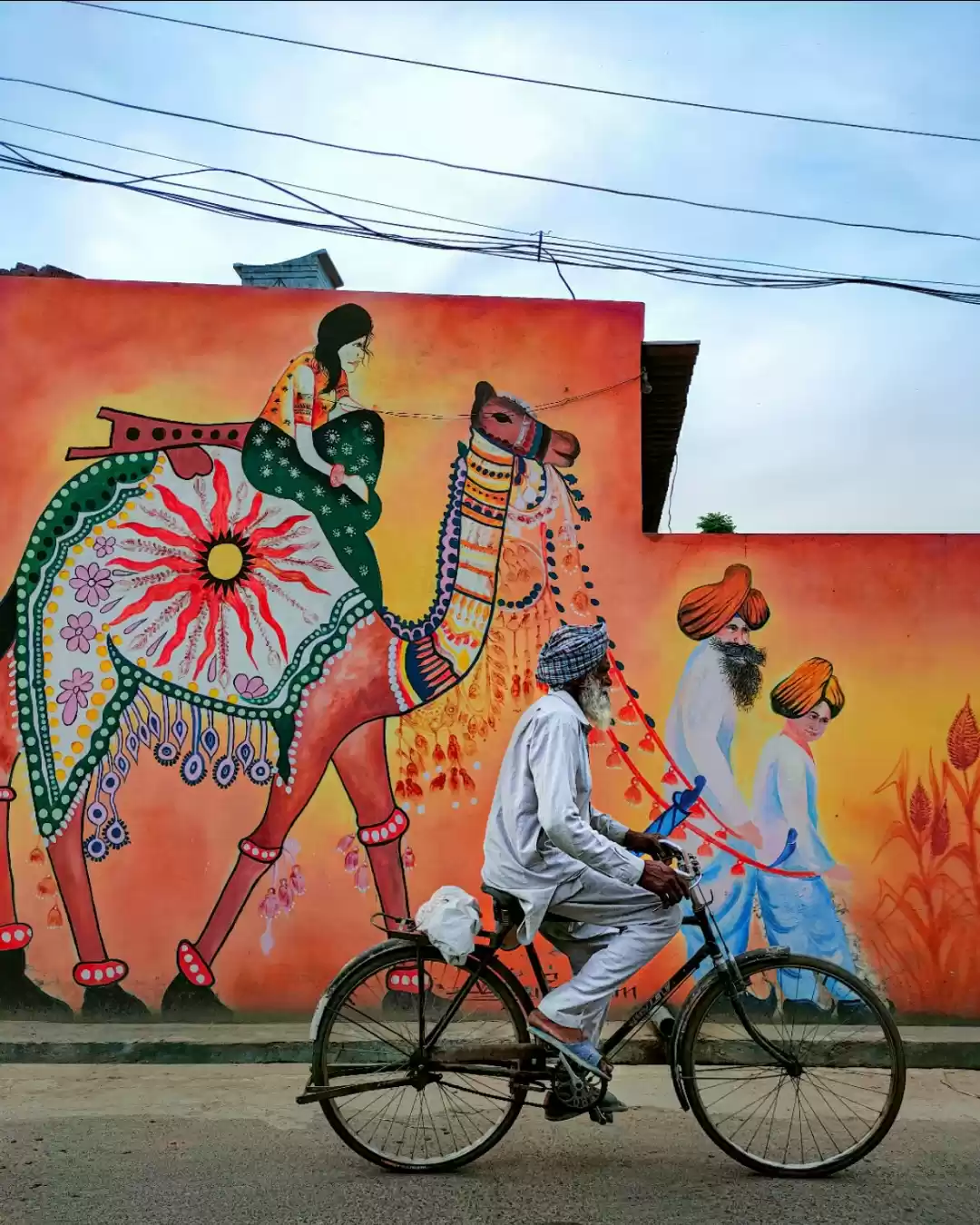 Photo of The colorful life on