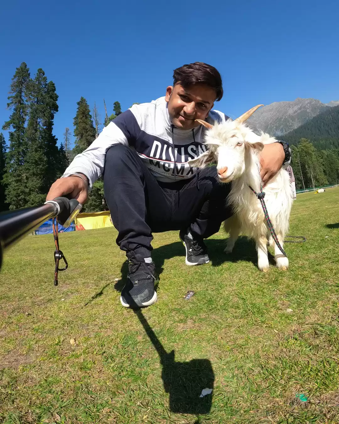 Photo of To Animals, with LOV