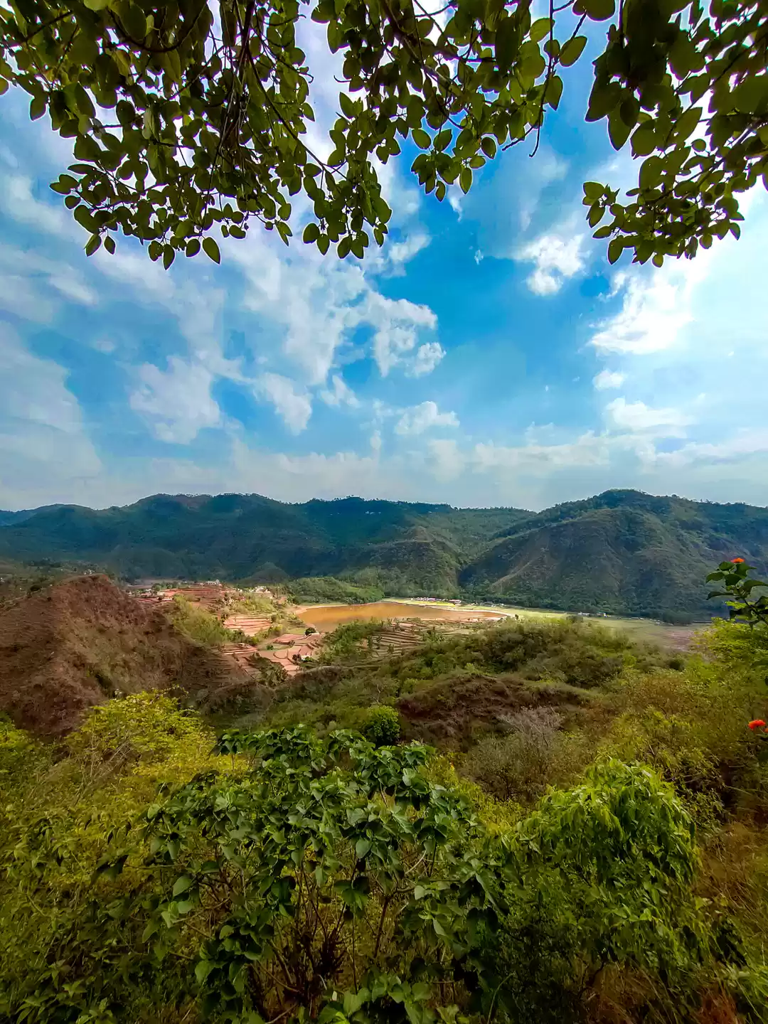 Photo of Where to go for a br