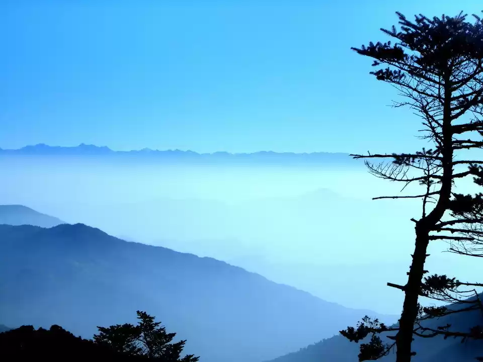 Photo of The Mountain Trails