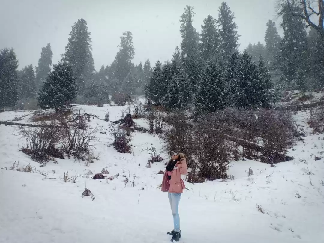 Photo of MN in Mountains