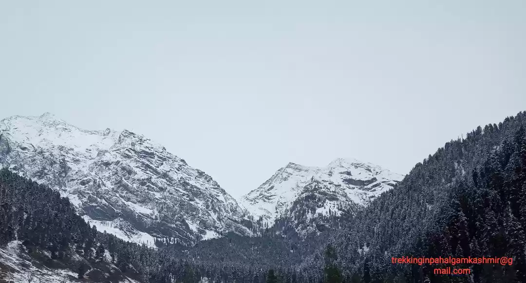 Photo of Aru valleypahalgamka