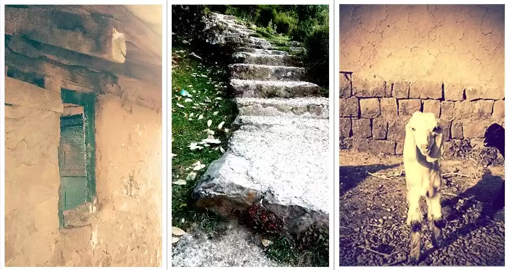 Photo of Footloose in Naddi