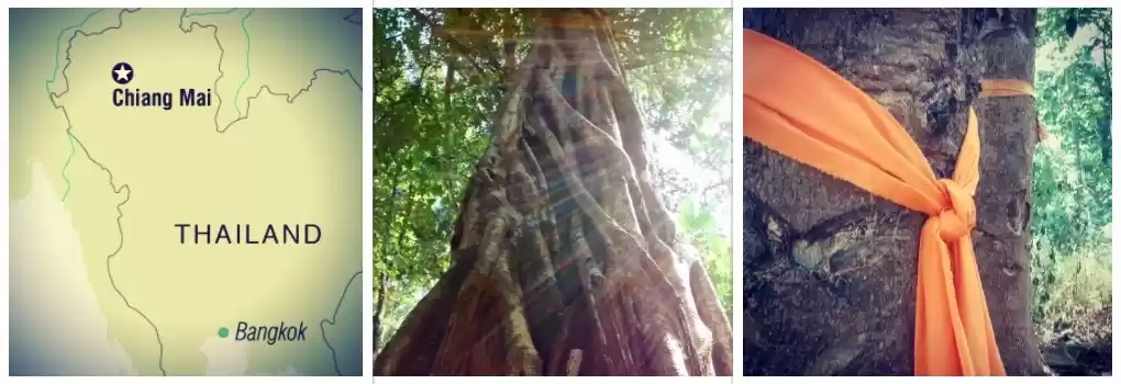 Photo of The North is worth r