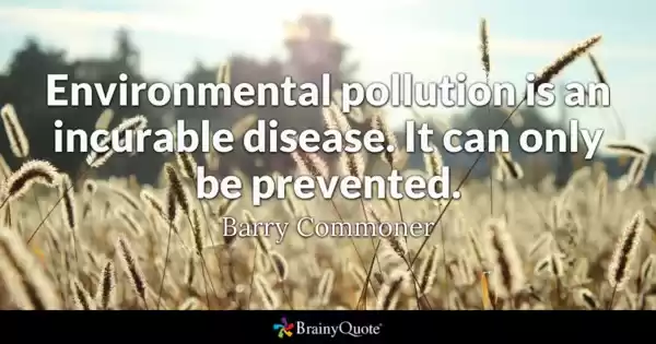 Photo of Mountains Never Call