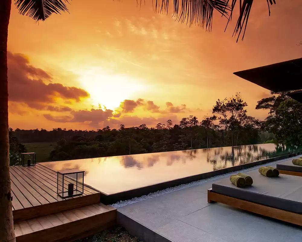 Photo of A relaxing tropical