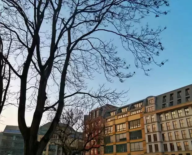 Photo of Seven gorgeous citie