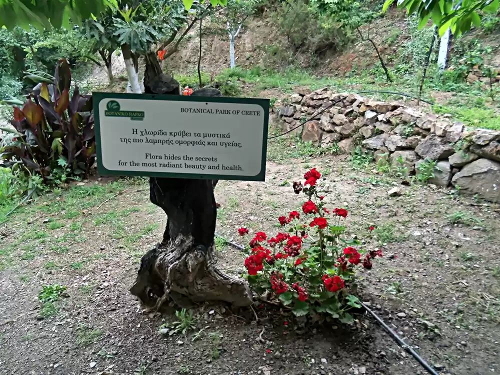 Photo of Crete Botanical Park