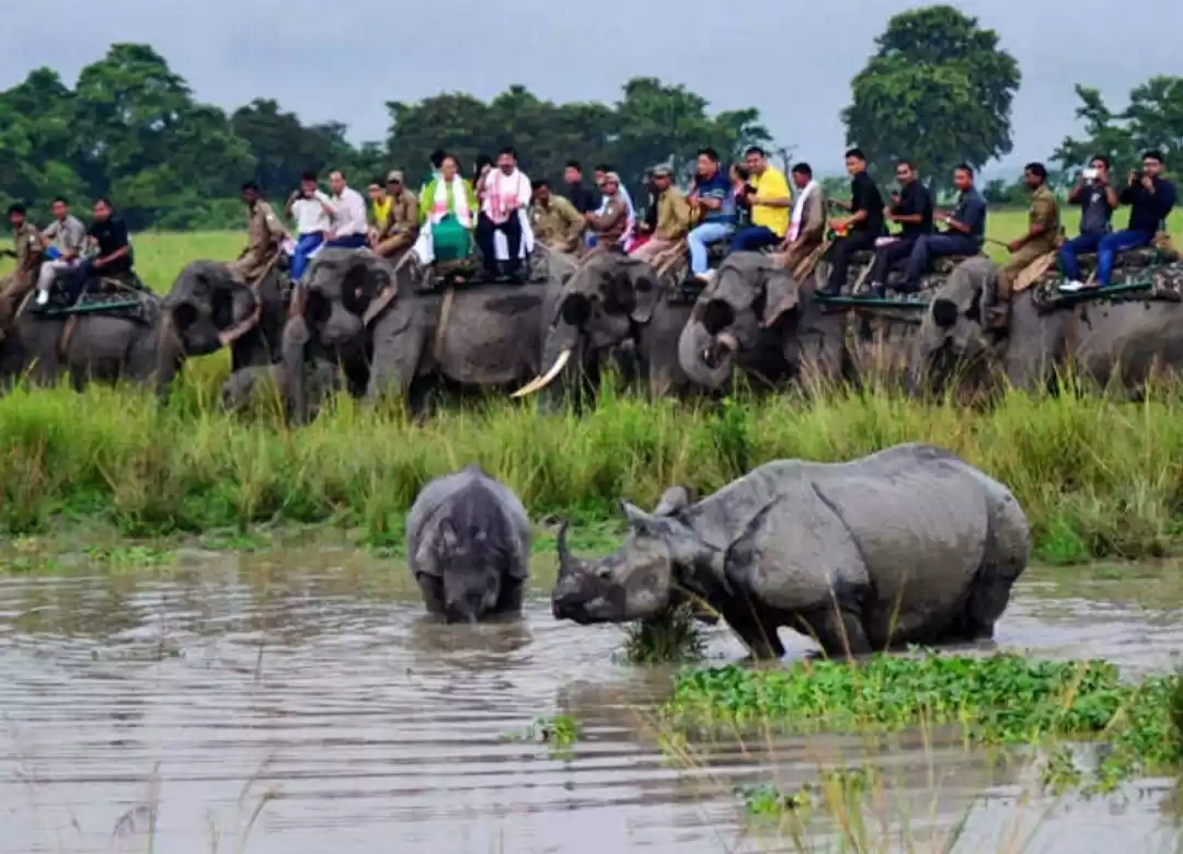 Photo of My first ever trip t