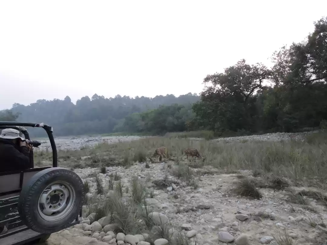 Photo of Name's Corbett!! JIM