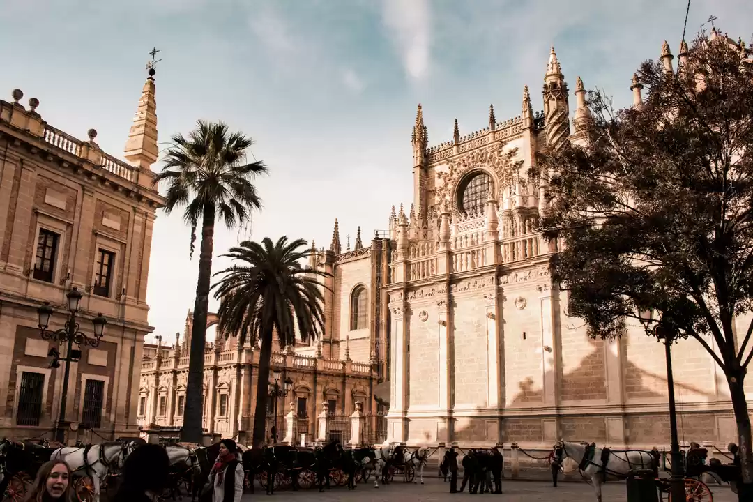 Photo of Few pictures from Sp