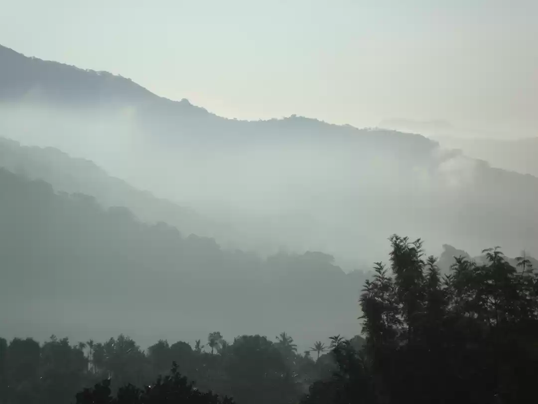 Photo of Footloose in Kerala 