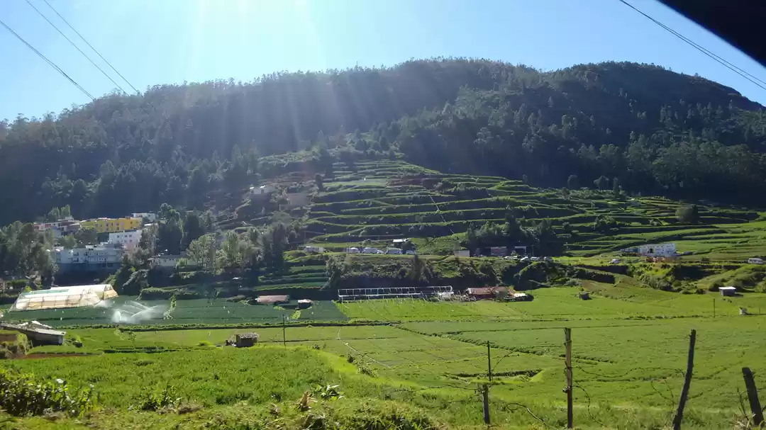 Photo of Lakshadweep - A trip