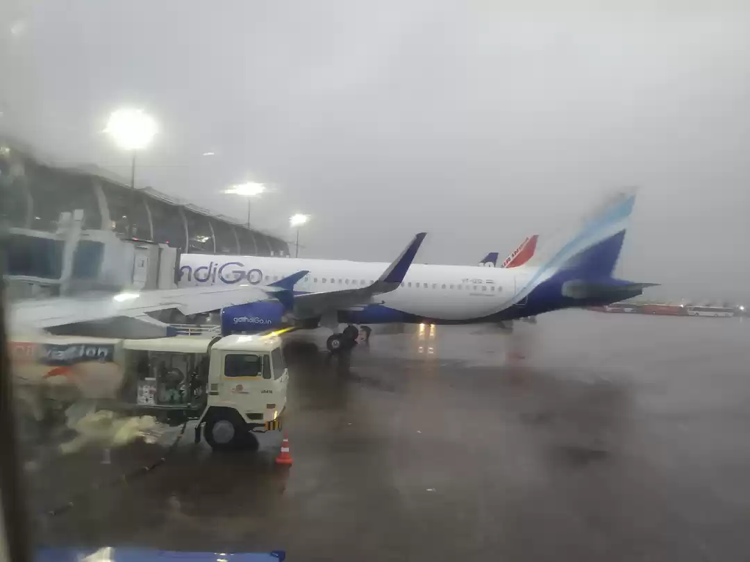 Photo of What To Do With Alre