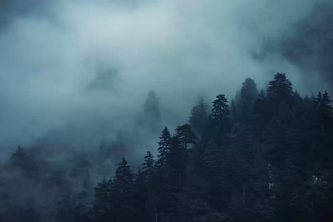 Photo of Manali- a town in th