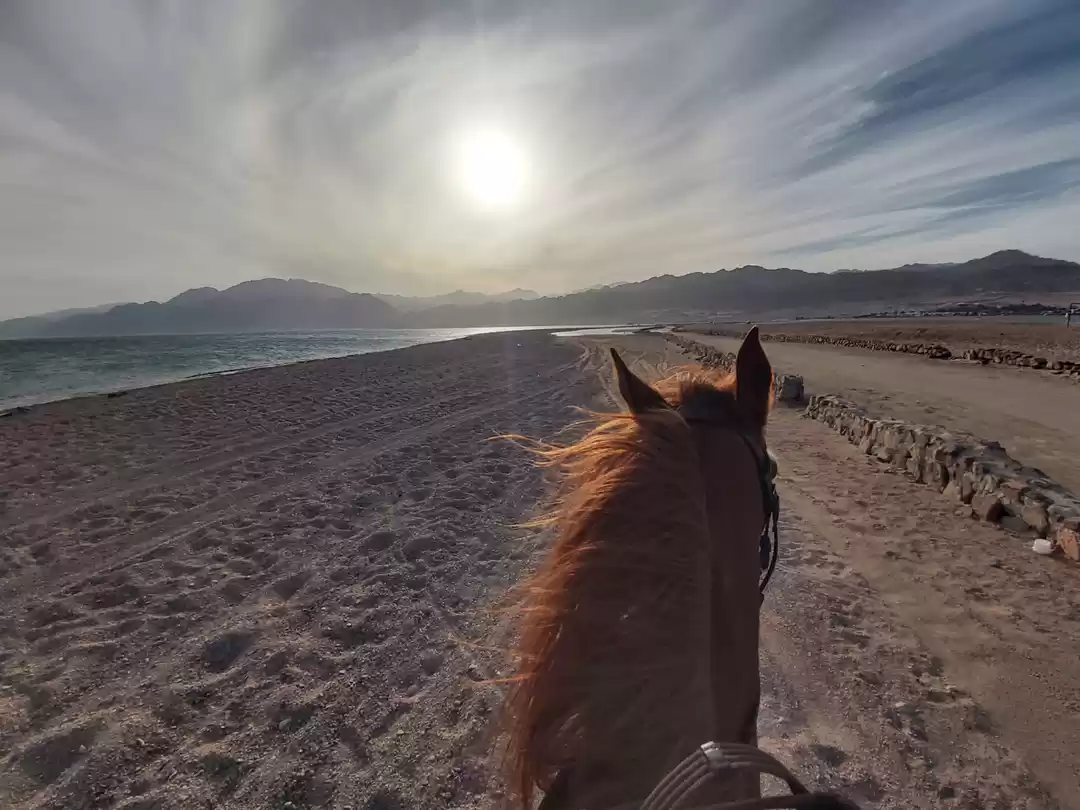 Photo of Horse riding in daha