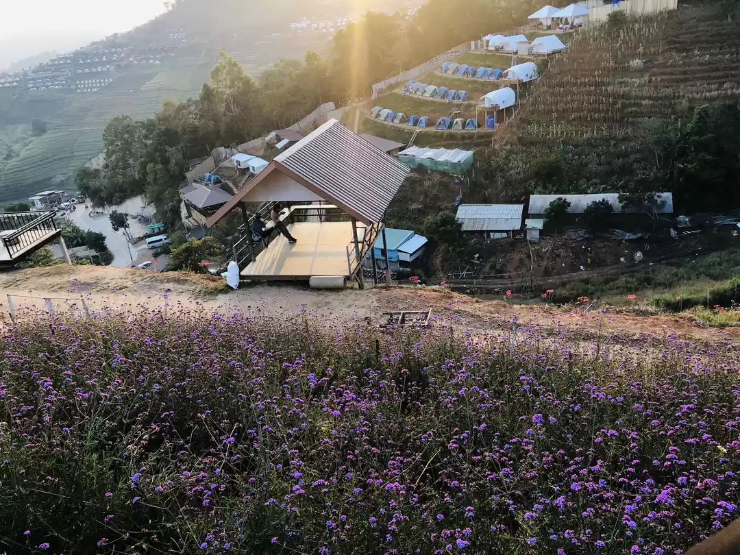 Photo of How we rolled on the