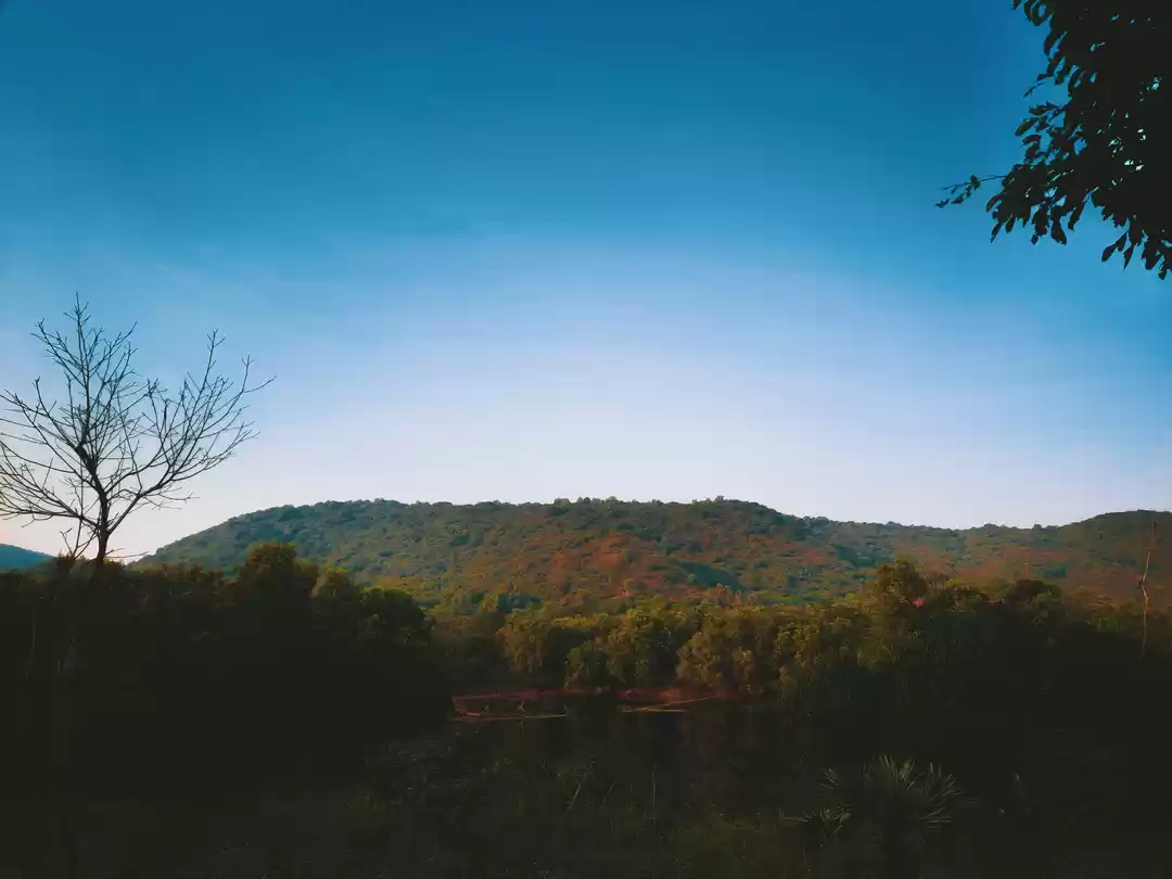 Photo of TRIP TO ARAKU...