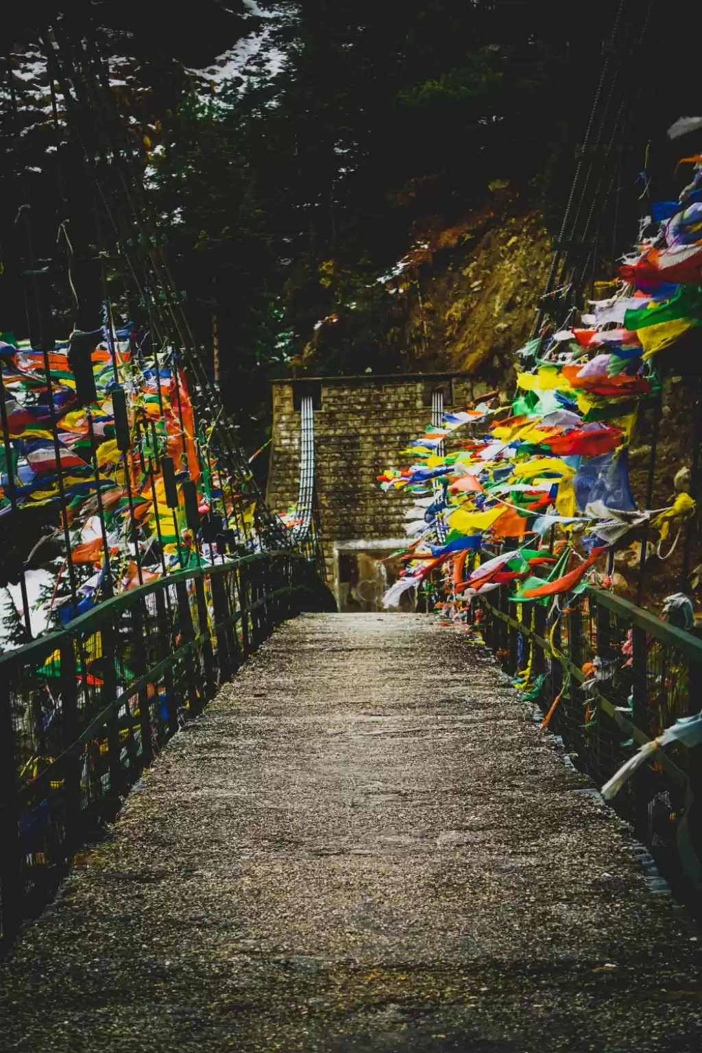 Photo of Bagori 