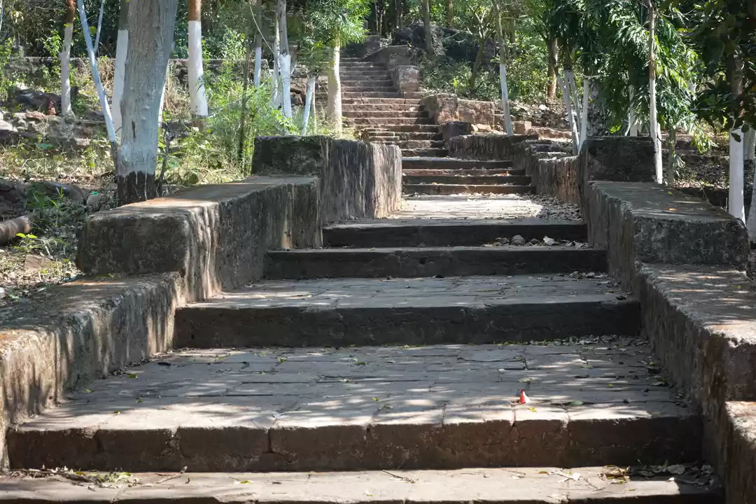 Photo of Some fine beauty of 