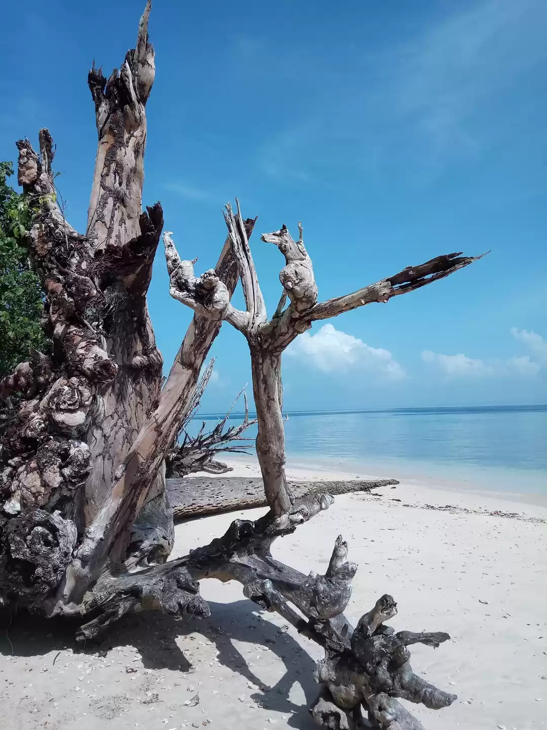 Photo of Andaman - Land of Be