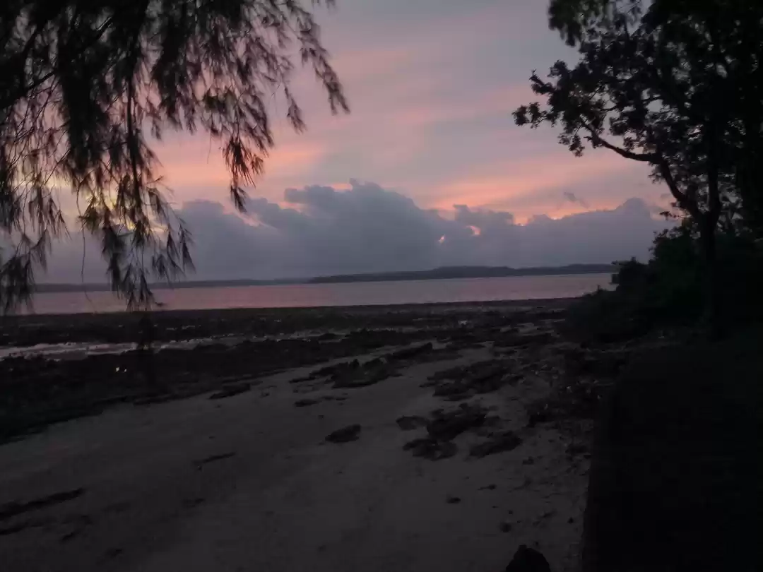 Photo of Middle Andaman - Pri