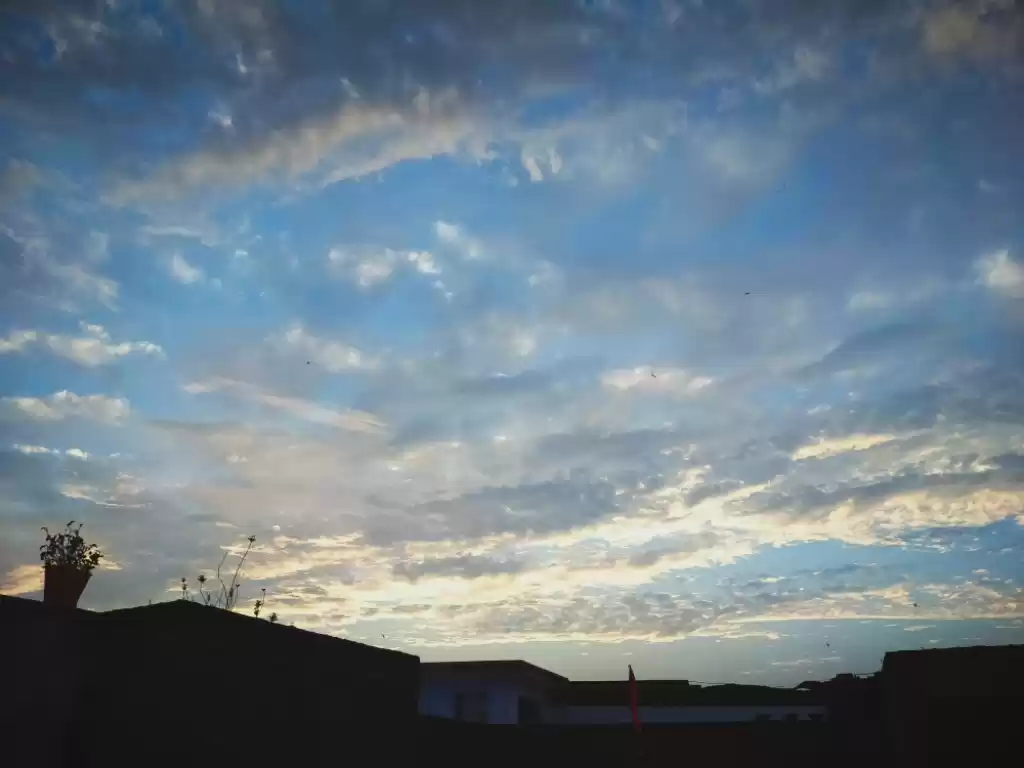 Photo of Nature is healing 