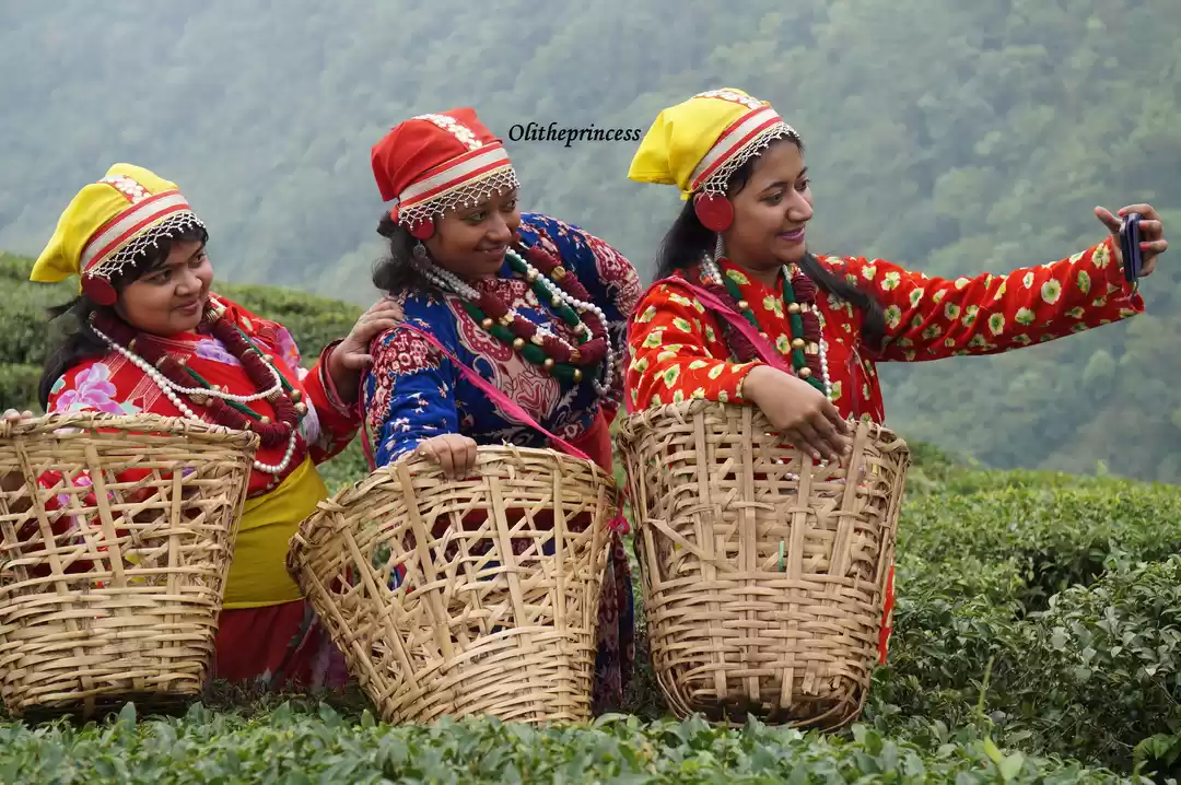 Photo of The Hide & seek play