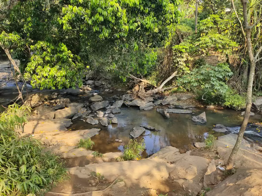 Photo of The Trip of 2020: Sa