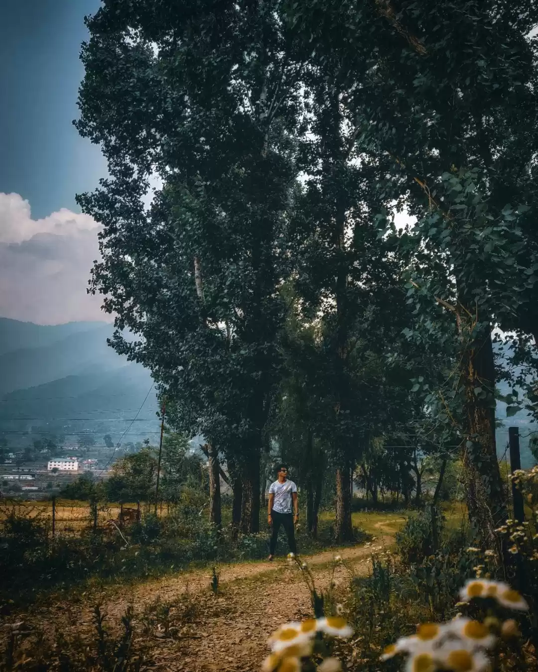 Photo of Day at mori village,