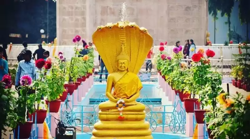 Photo of सारनाथ घूमने की समस्