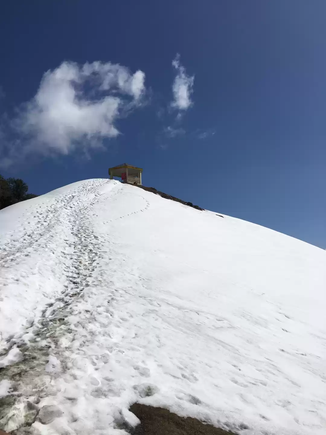 Photo of An adventure for pea