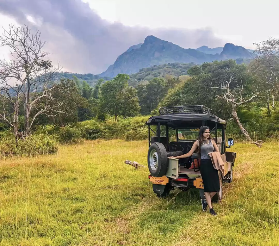 Photo of Jeep Safari At Bandi
