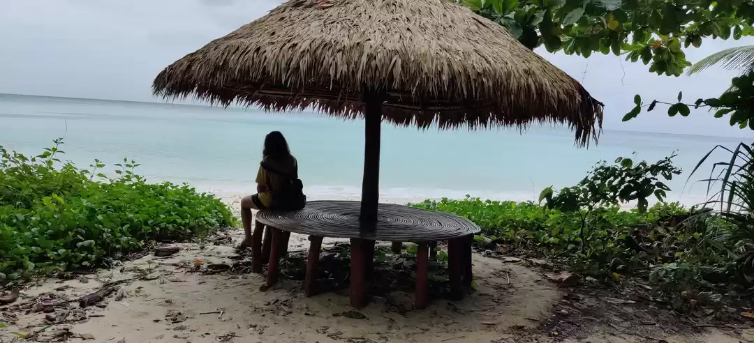 Photo of A Trip To Serenity -