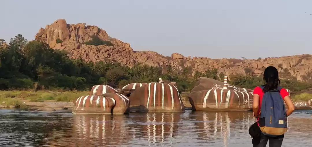 Photo of A pocket-friendly tr