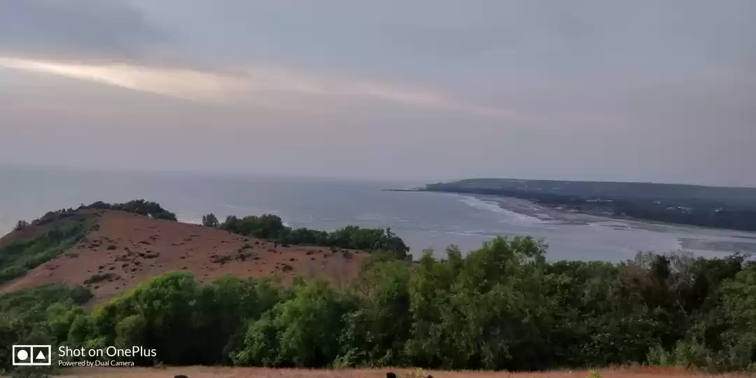 Photo of Smell the sea and fe