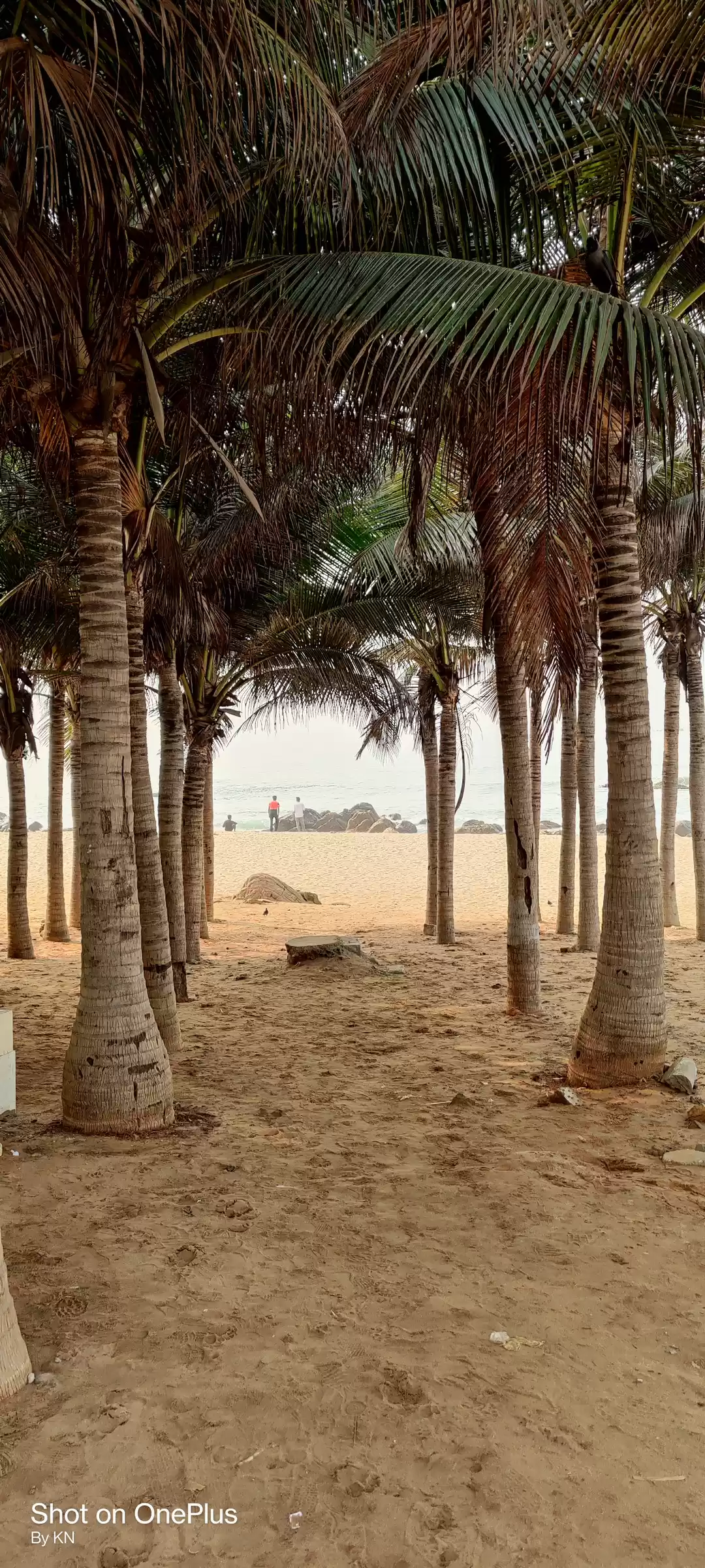 Photo of Vishakapatnam Solo u