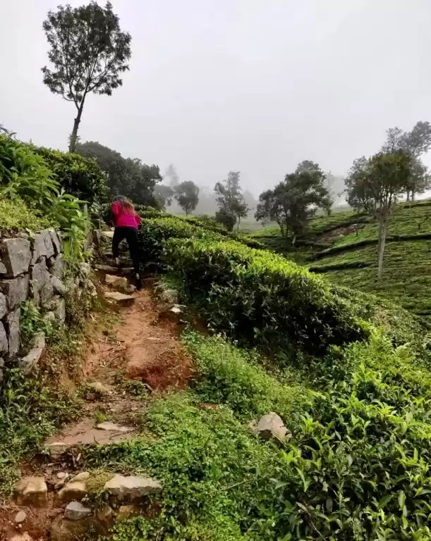 Photo of #TriopotoLockdownGui